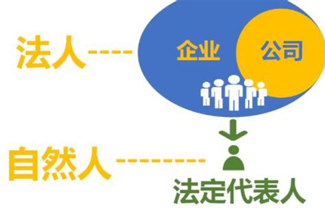 代表法人 意思|法人、法人代表、法定代表人？怎麼區分？最後再捋一。